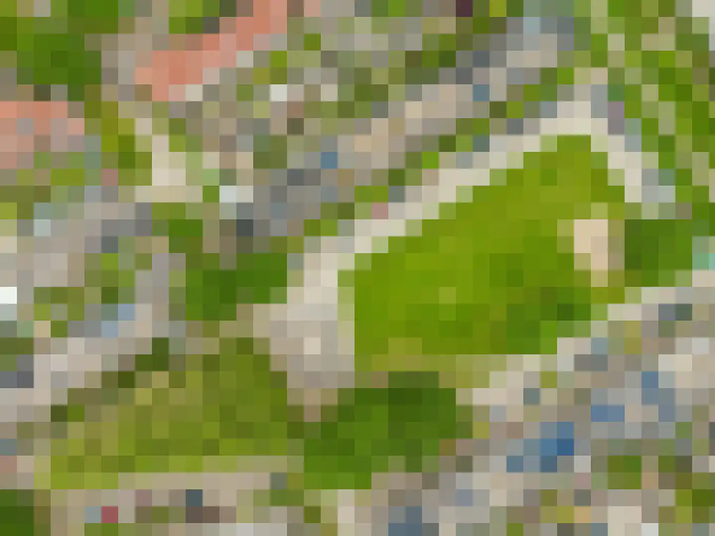 Muntslag 4 Houten thumbnail 51