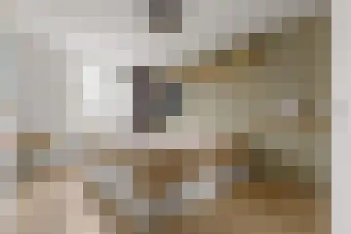 Muntslag 43 Houten thumbnail 20