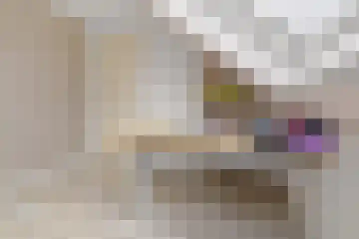 Muntslag 43 Houten thumbnail 27