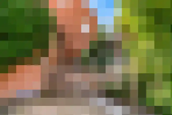 Muntslag 43 Houten thumbnail 30