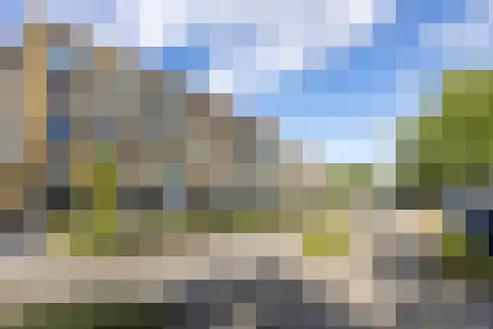 Muntslag 43 Houten thumbnail 9