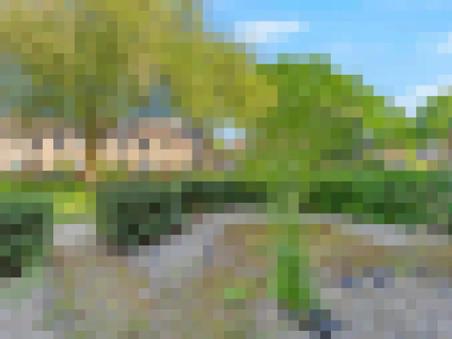 Muntslag 55 Houten thumbnail 29