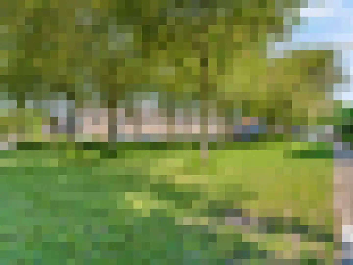 Muntslag 55 Houten thumbnail 30