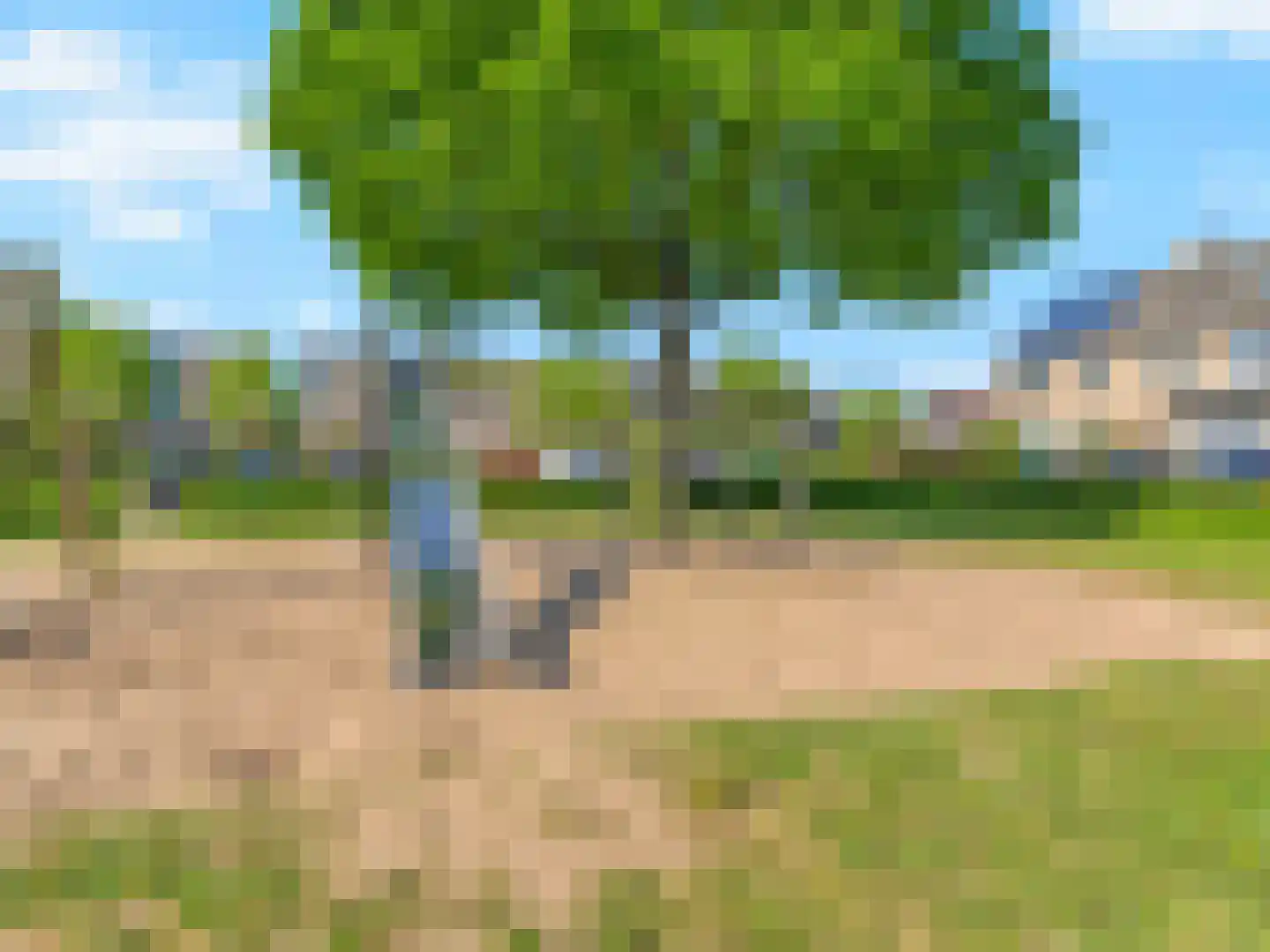 Muntslag 55 Houten thumbnail 32