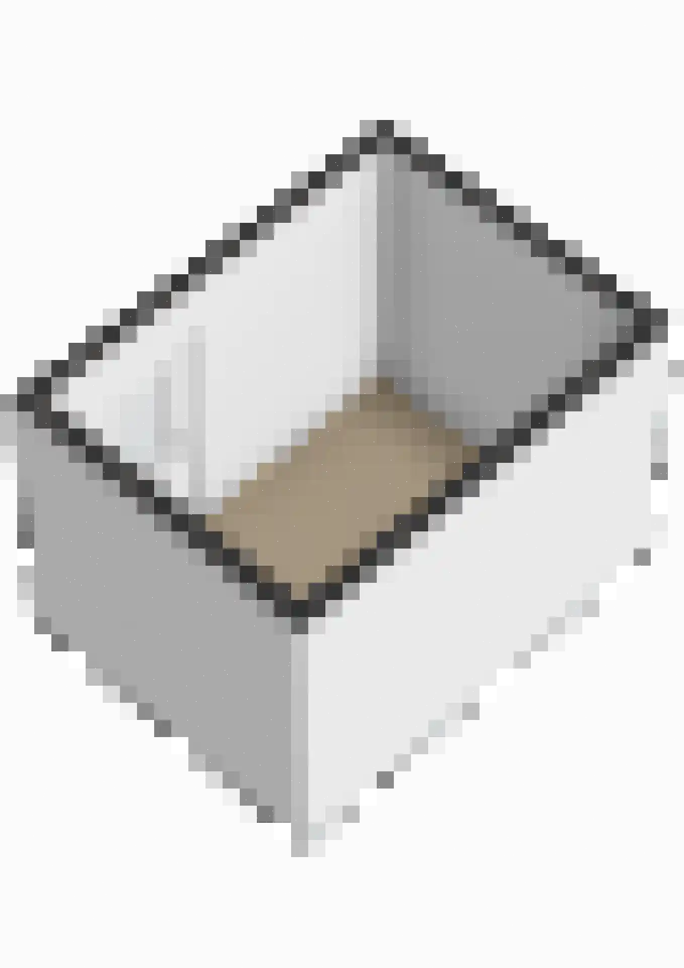 Muntslag 55 Houten thumbnail 40