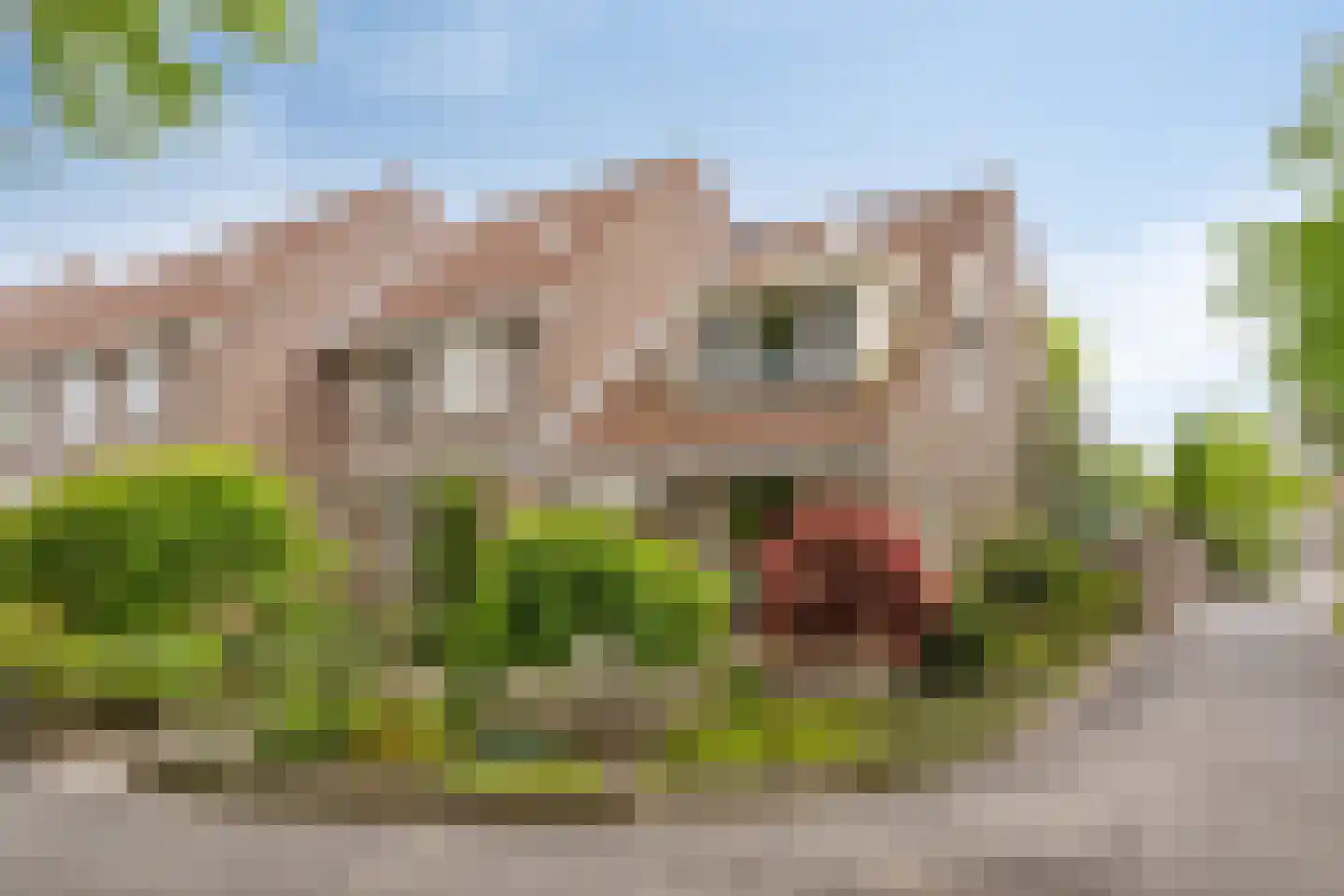 Muntslagererf 15 Roermond