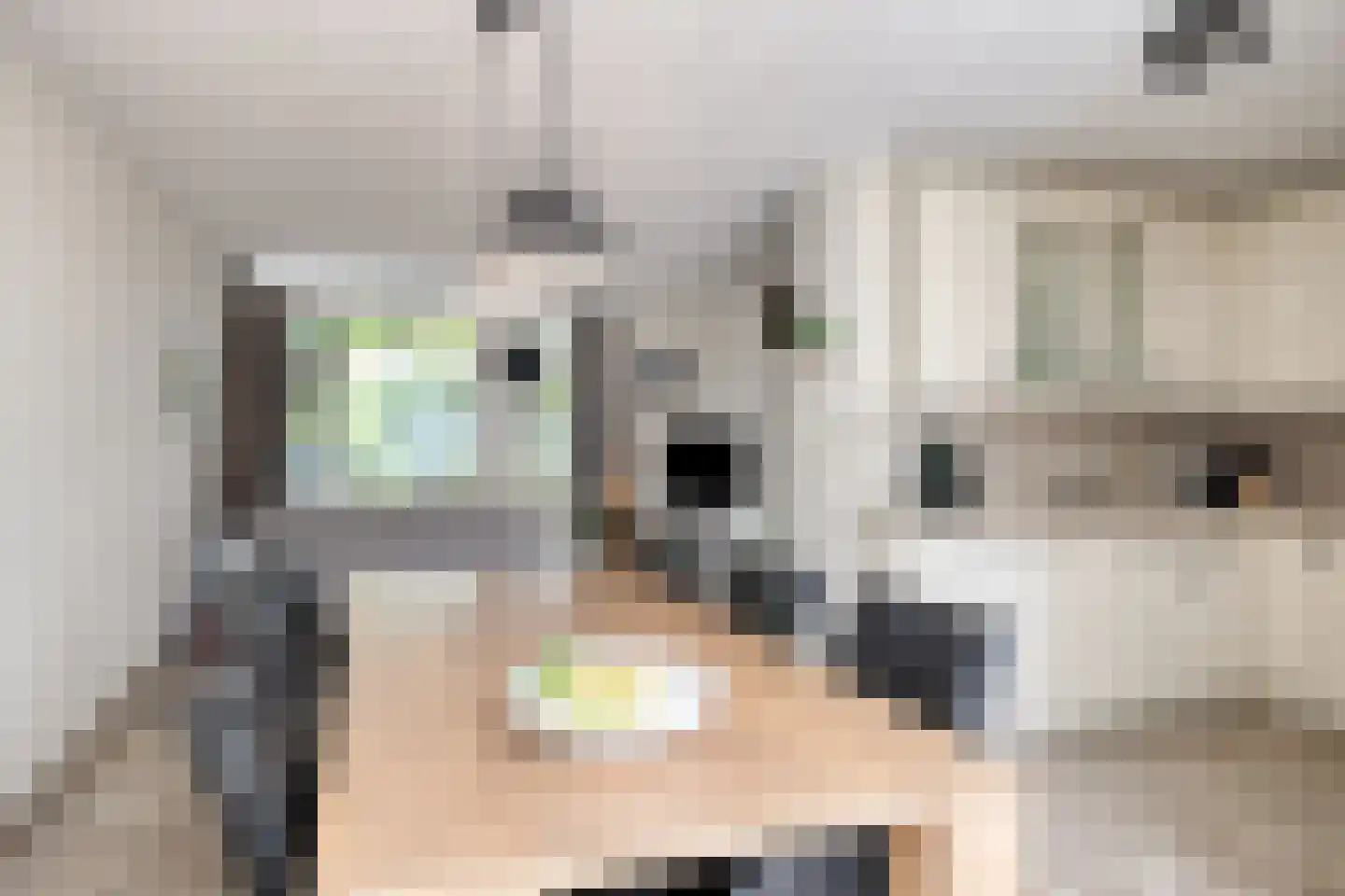 Muntslagererf 15 Roermond thumbnail 12