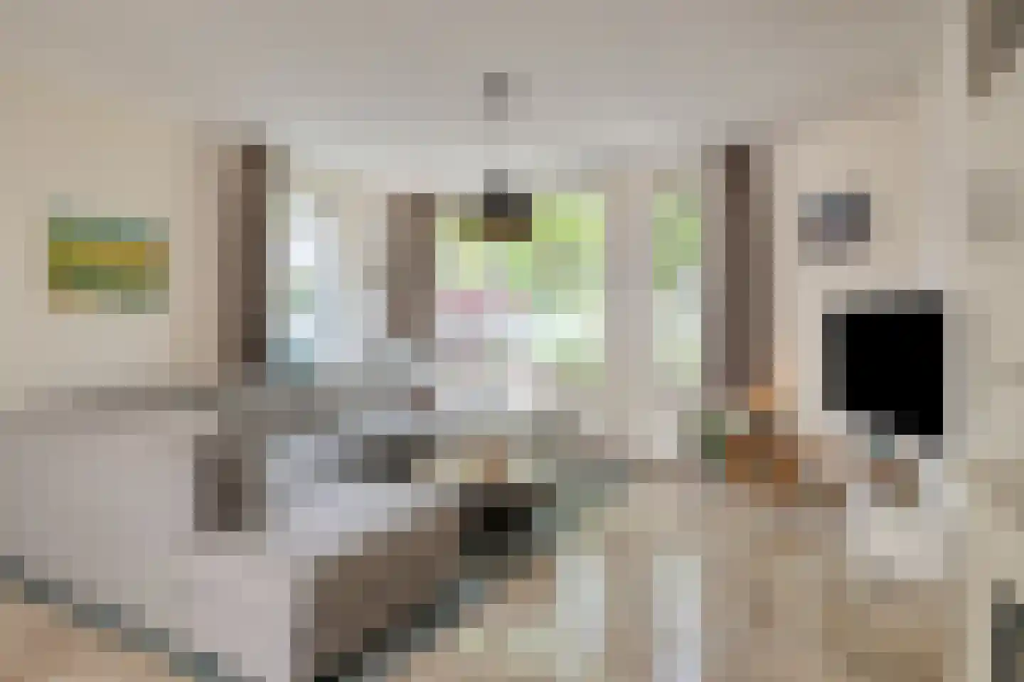 Muntslagererf 15 Roermond thumbnail 4