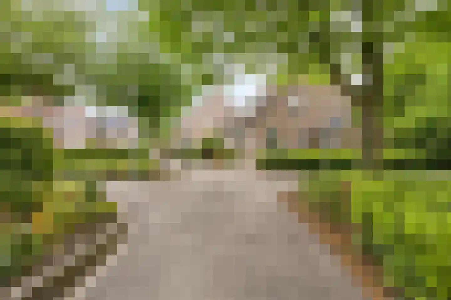 Muntslagererf 15 Roermond thumbnail 46