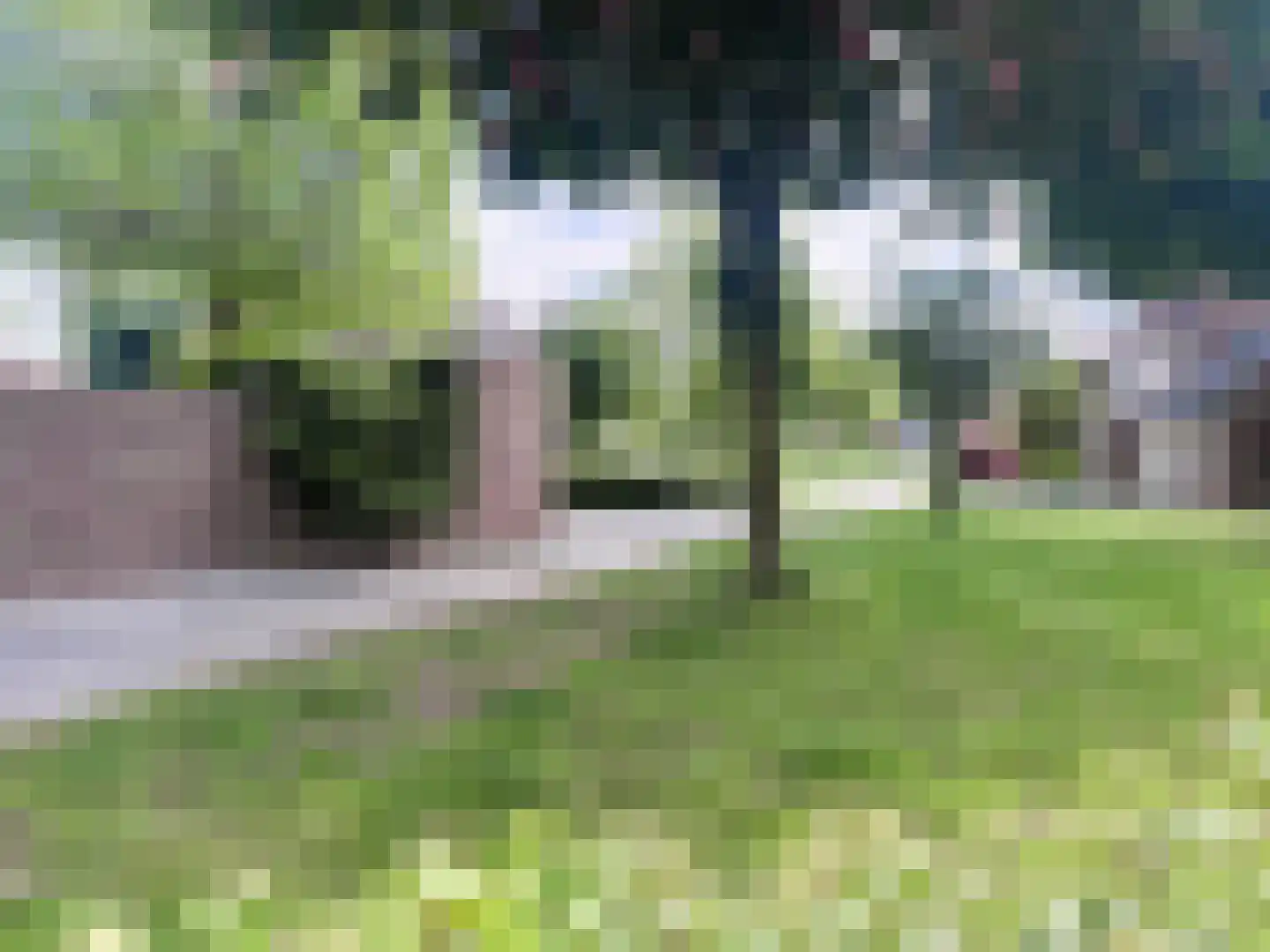 Muntslagererf 15 Roermond thumbnail 47