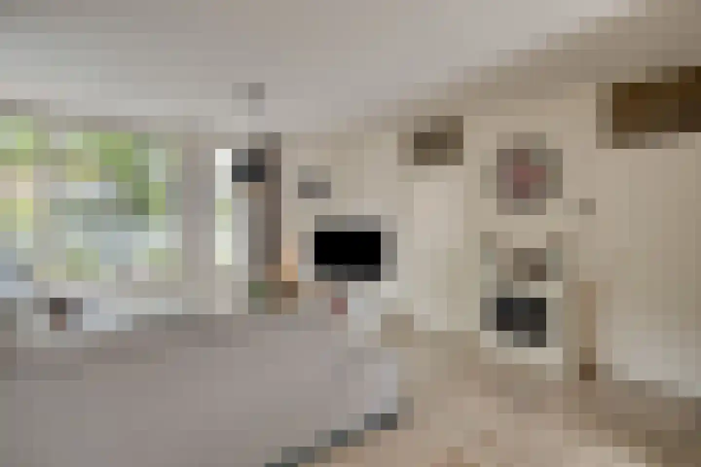 Muntslagererf 15 Roermond thumbnail 5