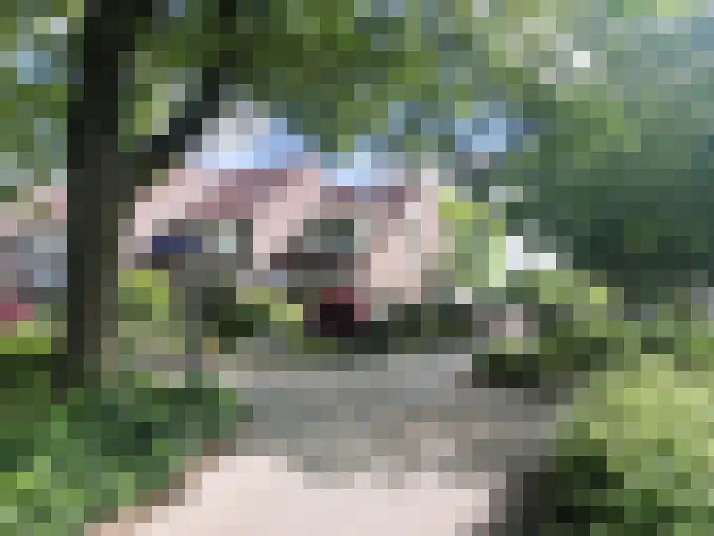 Muntslagererf 15 Roermond thumbnail 50