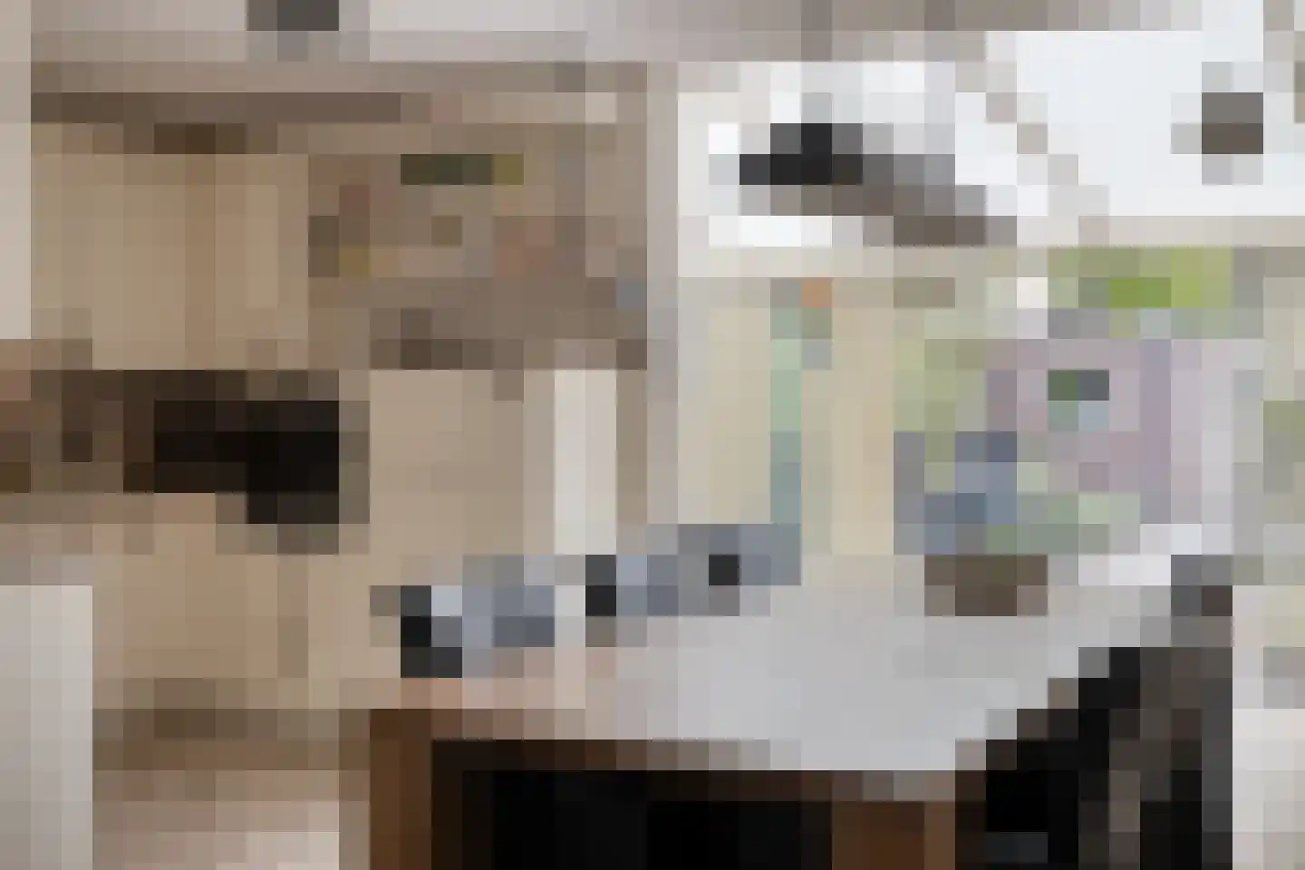 Muntslagererf 15 Roermond thumbnail 9