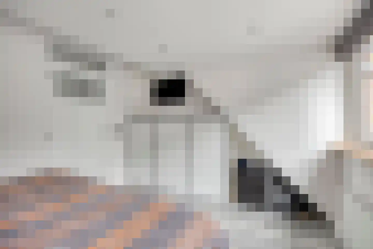 Muntsteeg 7 Kampen thumbnail 33