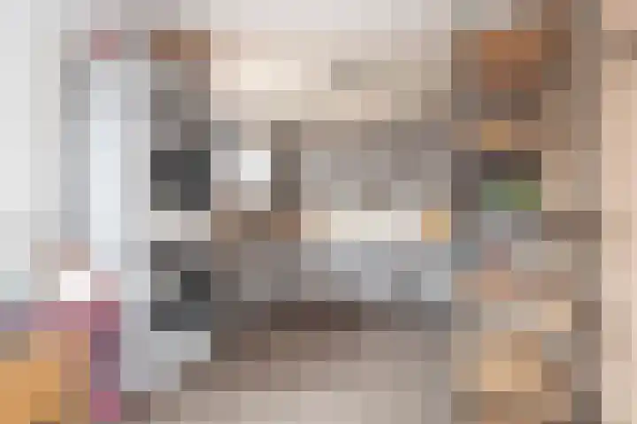 Muntstraat 10 Born thumbnail 15