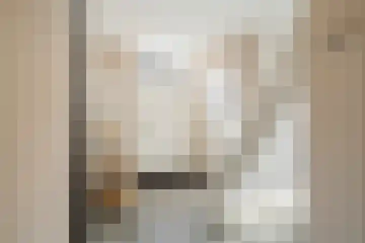 Muntstraat 10 Wijk bij Duurstede thumbnail 5