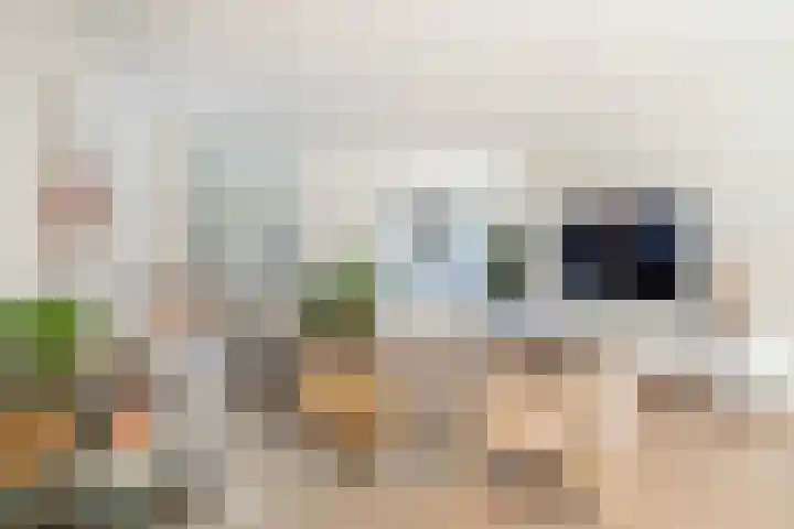 Muntstraat 10 Wijk bij Duurstede thumbnail 7