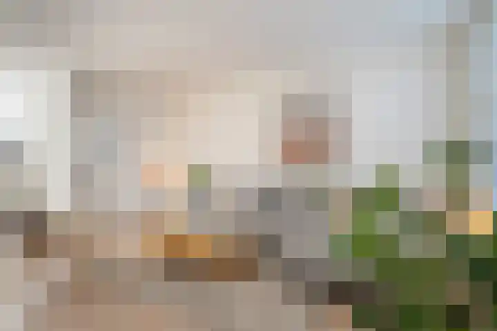 Muntstraat 10 Wijk bij Duurstede thumbnail 9