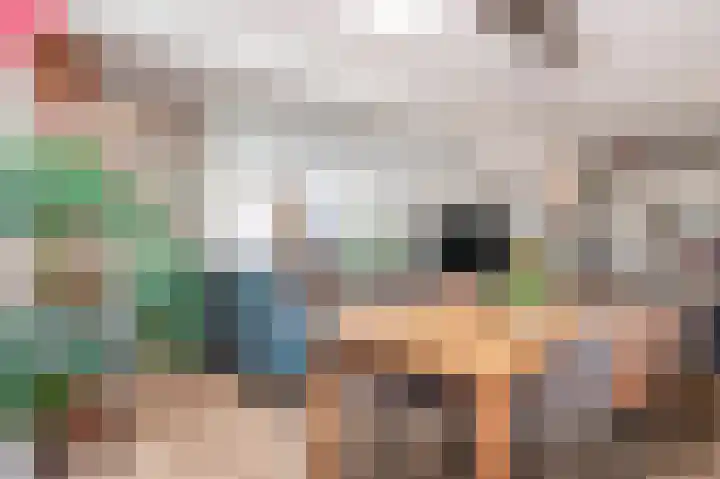 Muntstraat 12 Born thumbnail 11