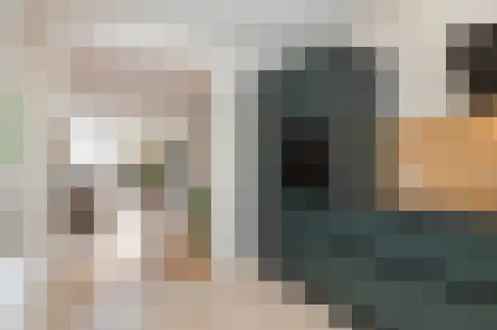Muntstraat 12 Born thumbnail 14