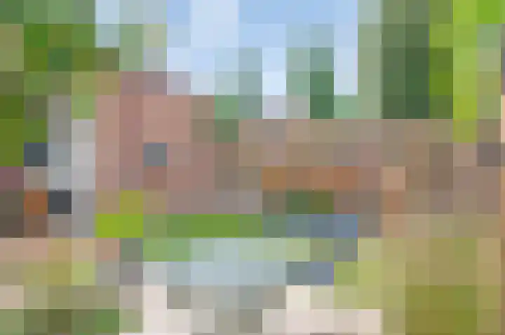 Muntstraat 12 Born thumbnail 31