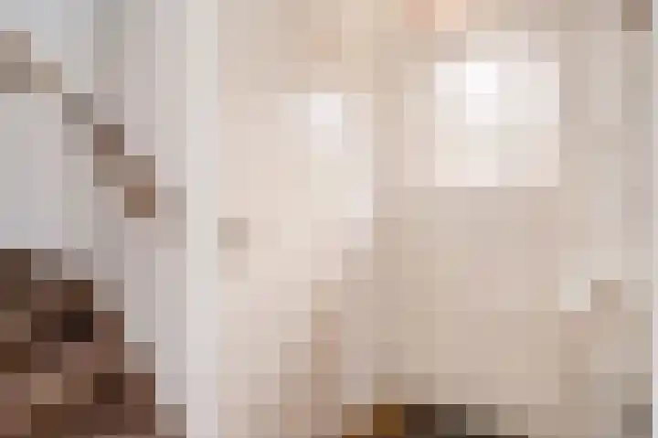 Muntstraat 12 Born thumbnail 4