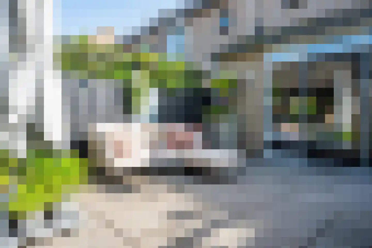 Muntstraat 127 Lisserbroek thumbnail 28