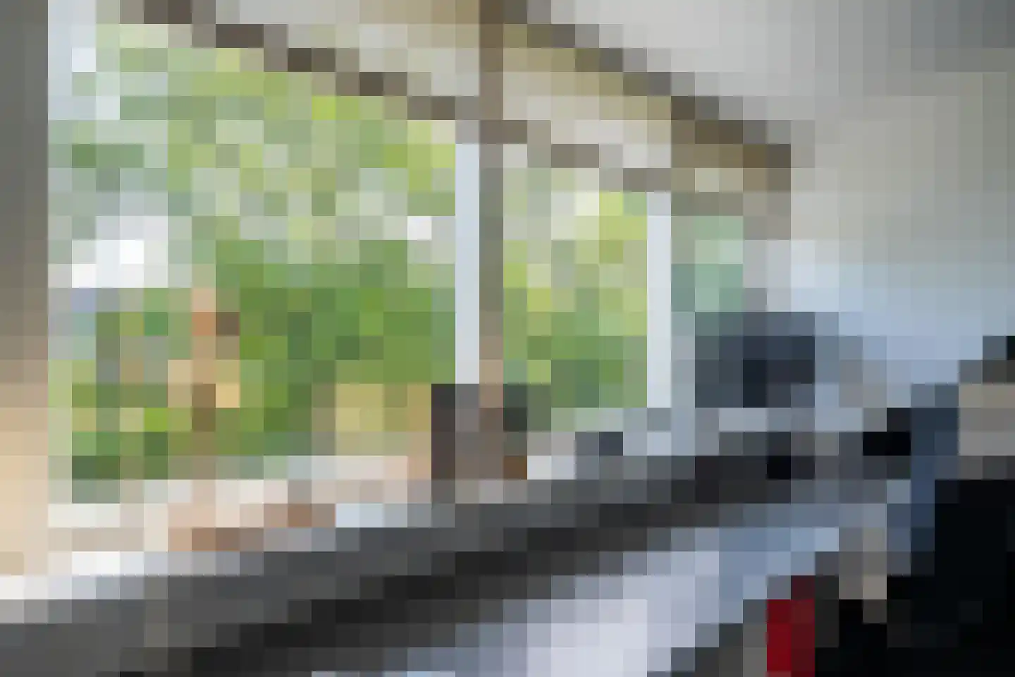 Muntstraat 127 Lisserbroek thumbnail 42