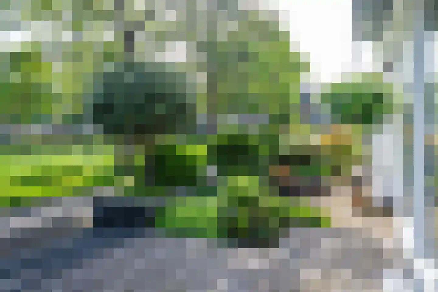 Muntstraat 127 Lisserbroek thumbnail 8