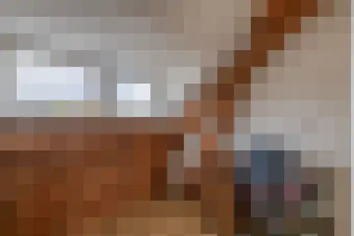 Muntstraat 127 Tegelen thumbnail 25