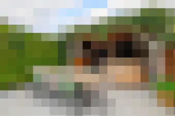 Muntstraat 127 Tegelen thumbnail 31