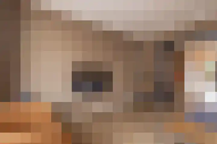 Muntstraat 127 Tegelen thumbnail 6