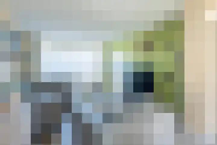 Muntstraat 21 Born thumbnail 10