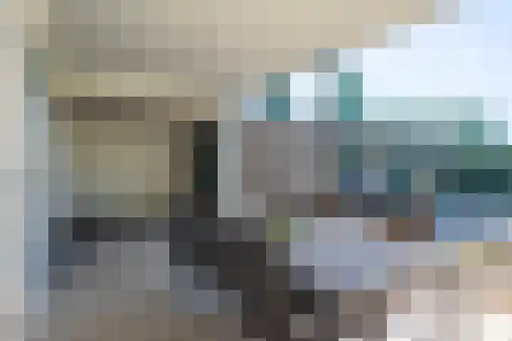 Muntstraat 21 Born thumbnail 32