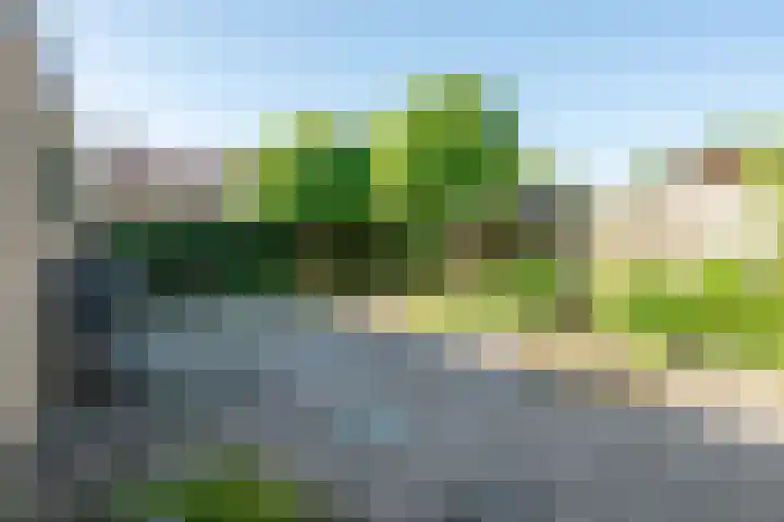 Muntstraat 21 Born thumbnail 33