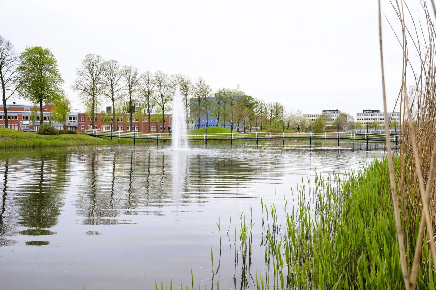Muntstraat 221 Lelystad thumbnail 27