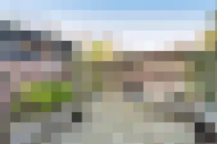Muntstraat 24 Wijk bij Duurstede thumbnail 4