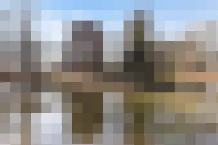 Muntstraat 24 Wijk bij Duurstede thumbnail 46