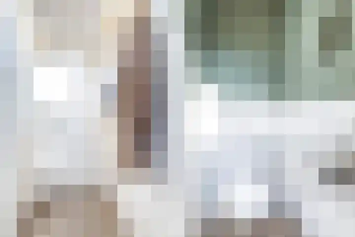 Muntstraat 24 Wijk bij Duurstede thumbnail 8