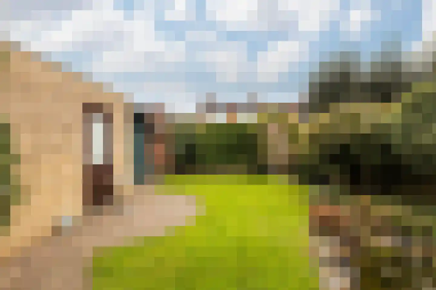 Muntstraat 29 Born thumbnail 31