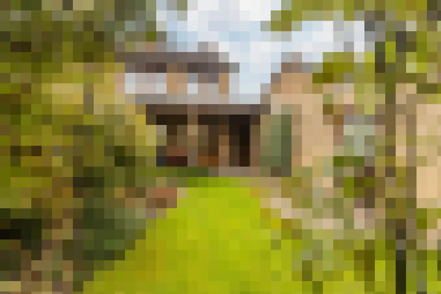 Muntstraat 29 Born thumbnail 34