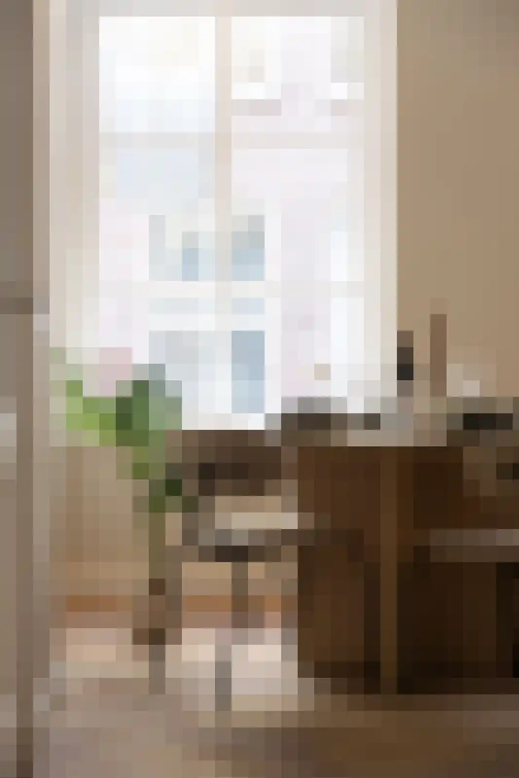 Muntstraat 3 Utrecht thumbnail 10