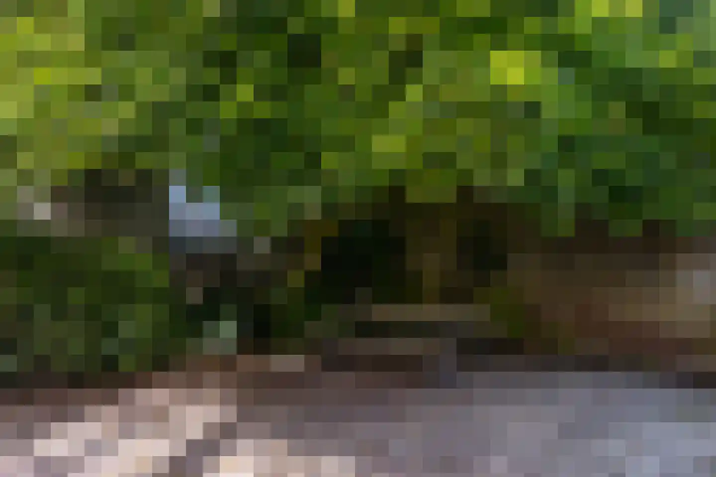 Muntstraat 3 Utrecht thumbnail 5