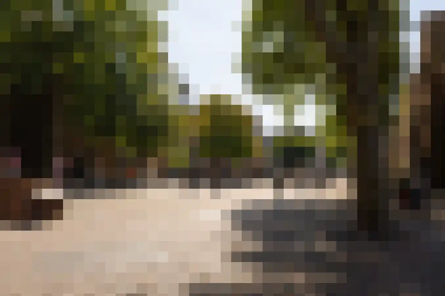 Muntstraat 3 Utrecht thumbnail 7