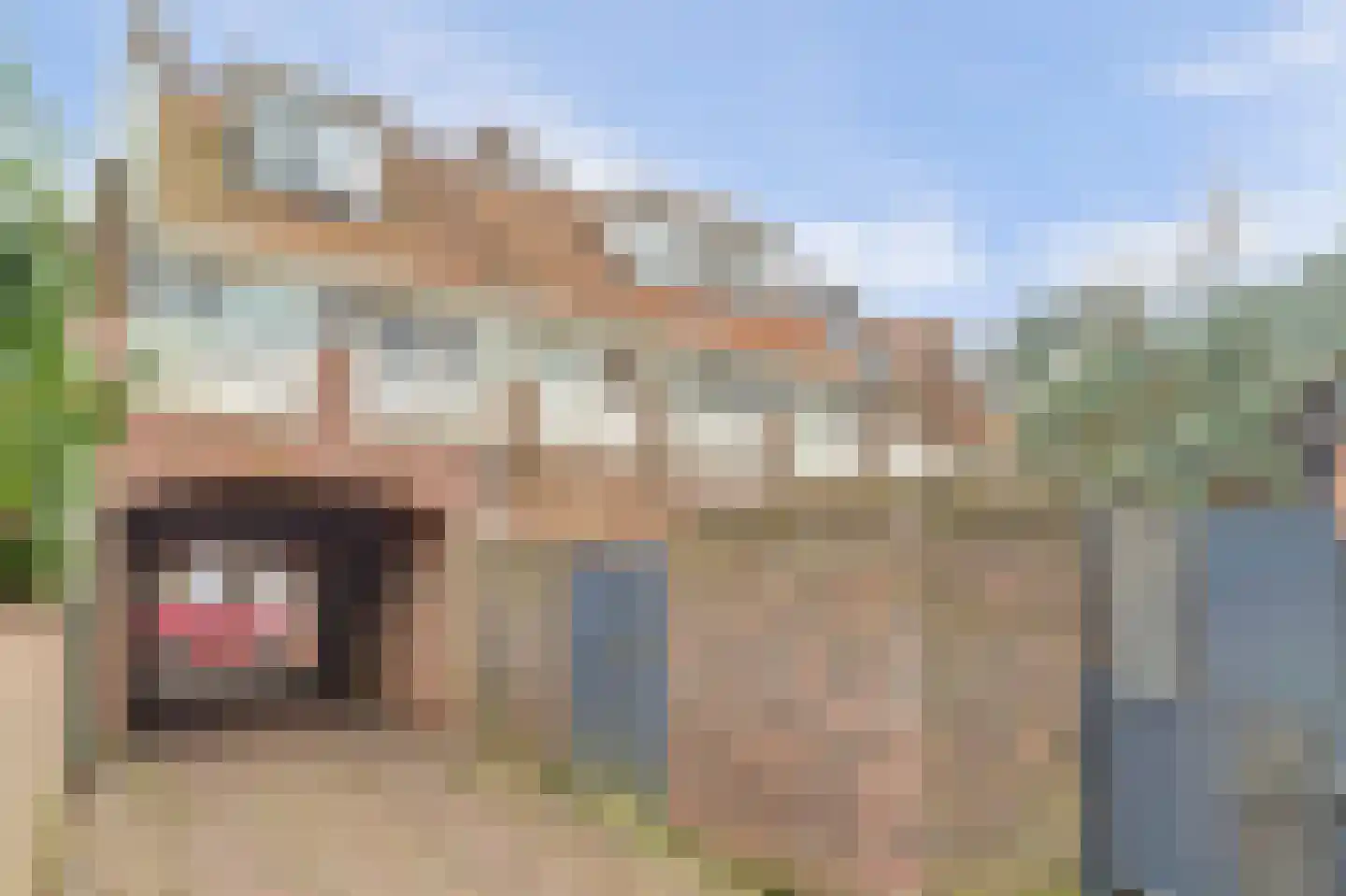 Muntstraat 32 c Wijk bij Duurstede thumbnail 38