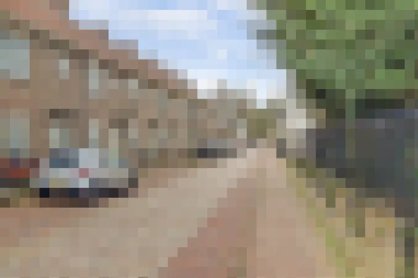 Muntstraat 32 c Wijk bij Duurstede thumbnail 43