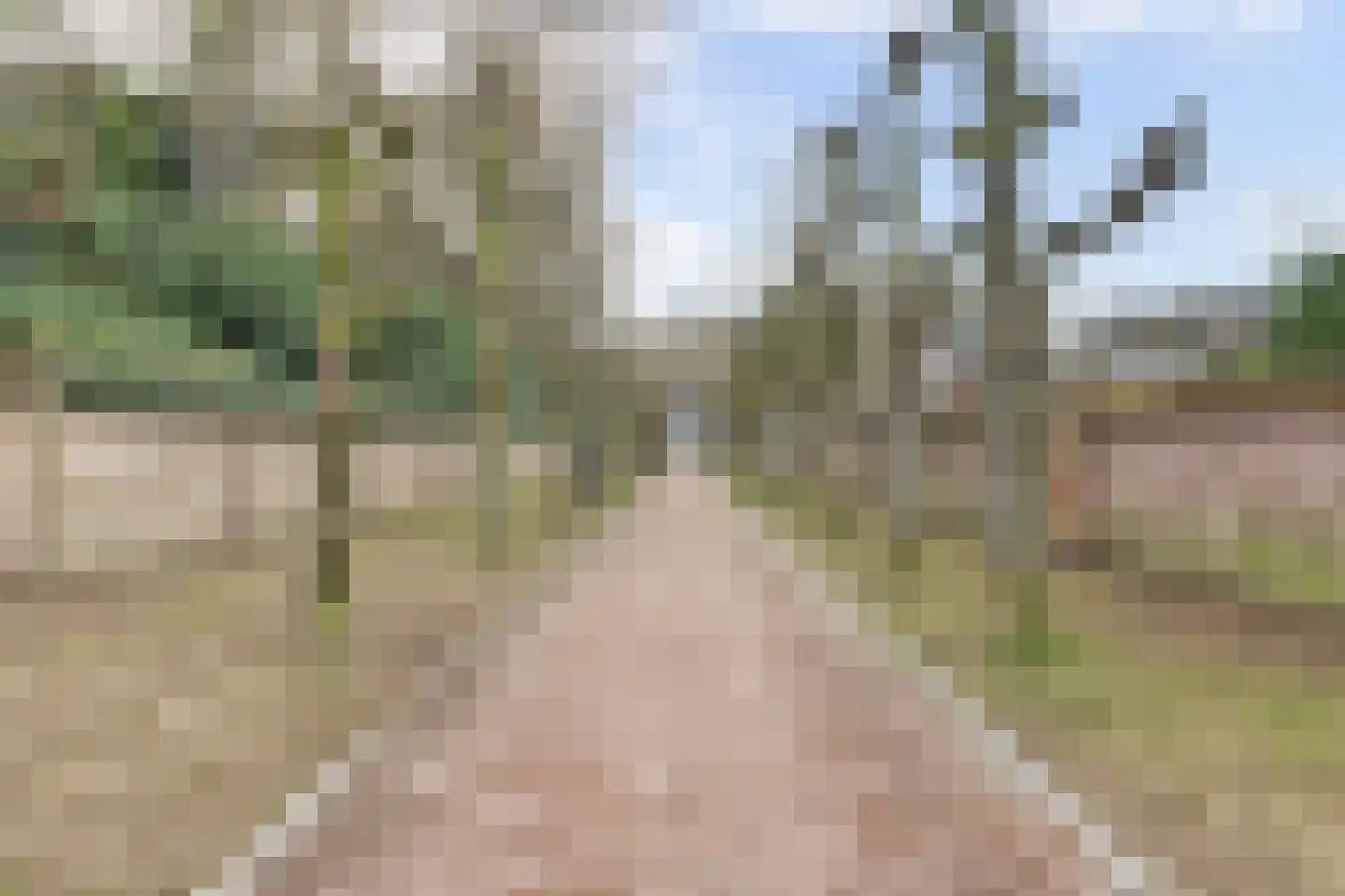 Muntstraat 32 c Wijk bij Duurstede thumbnail 54