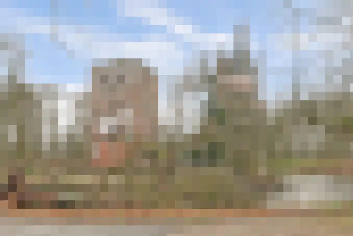 Muntstraat 32 c Wijk bij Duurstede thumbnail 55