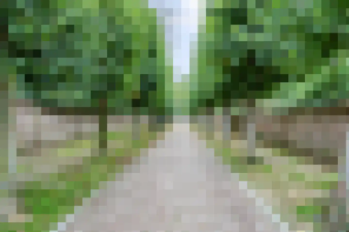 Muntstraat 32 Wijk bij Duurstede thumbnail 26