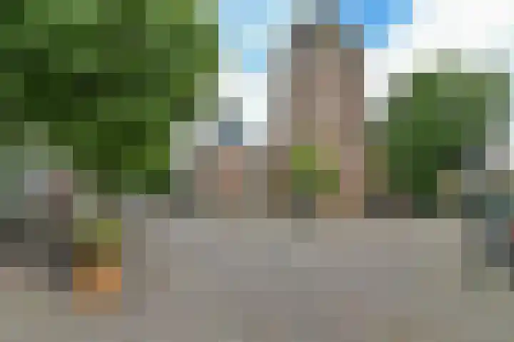 Muntstraat 34 c Wijk bij Duurstede thumbnail 22